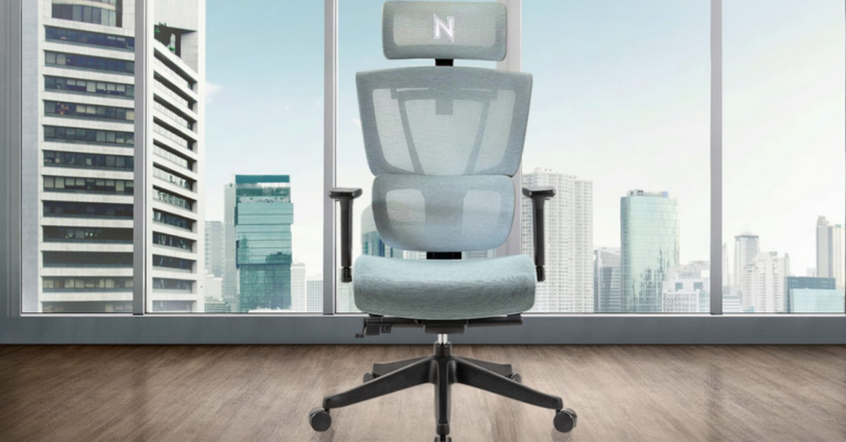 Hinomi Vs NextChair: Which Ergonomic Chair is Best for You