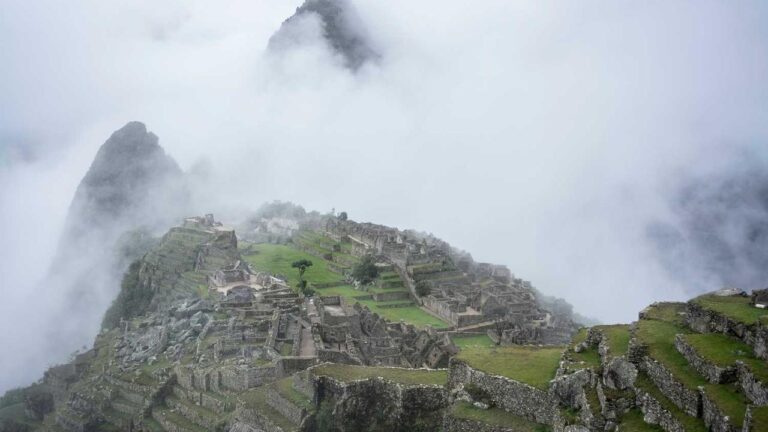 Is 11Xplay Black Apk Download Available For Free?