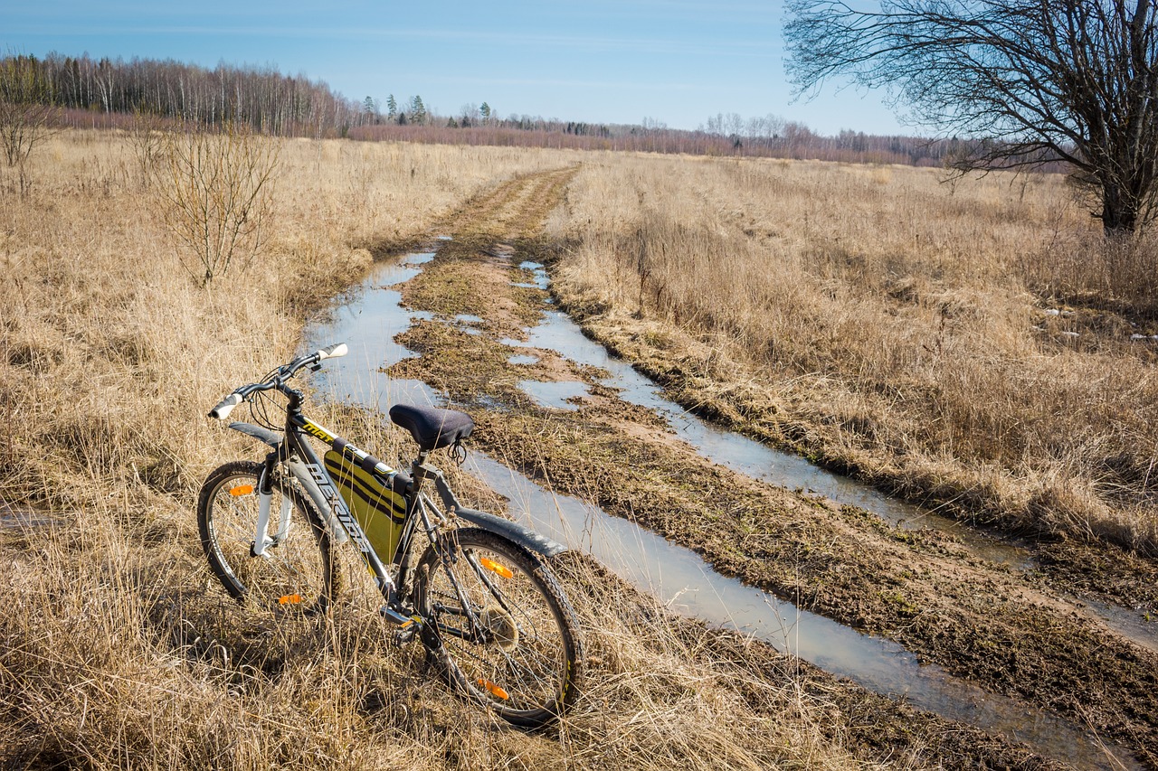 World777: The Ultimate Guide to India’s Premier Gaming Platform & Your Path to Success